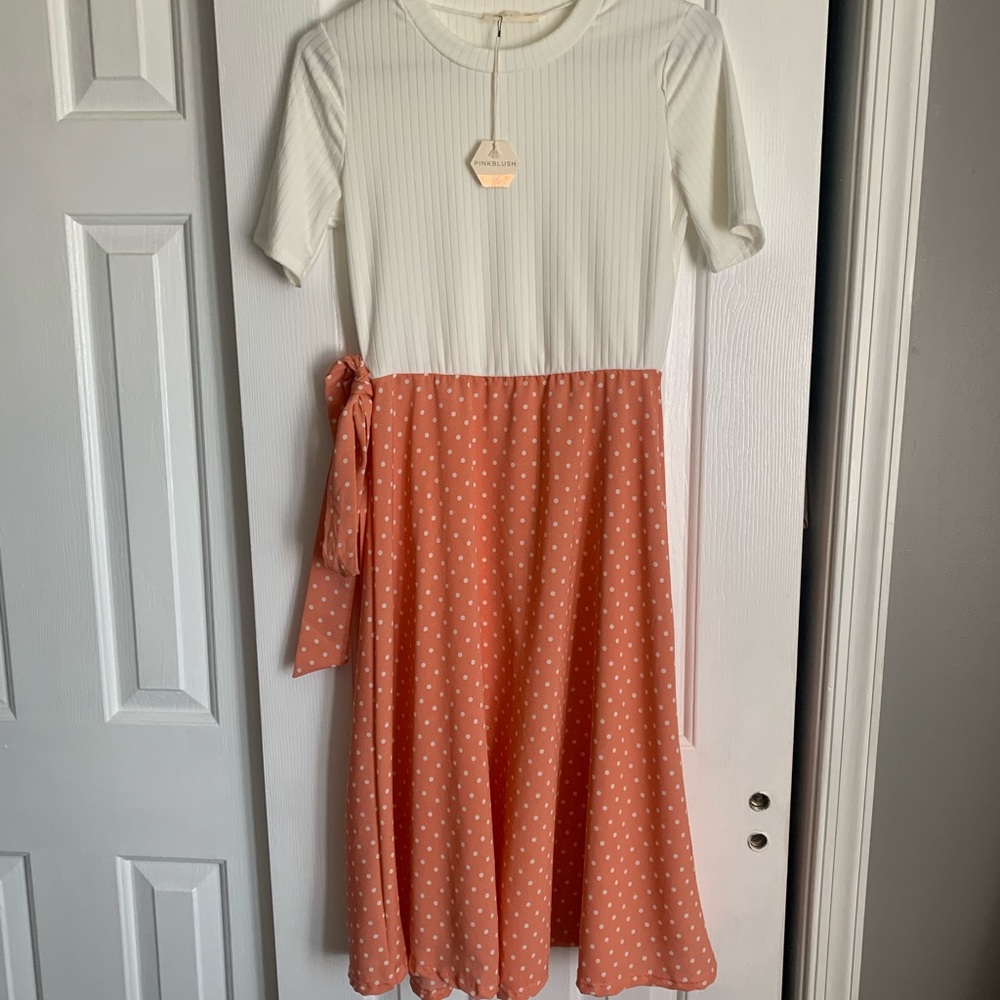 Size small Pink Blush boutique dress ✨💕